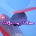 张驰同学 - Burning Love