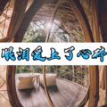 小迹 - 越伤越爱