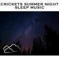 Relaxing Radiance - Night Crickets - Loopable