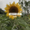 DJ可乐 - 太阳