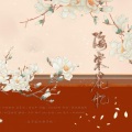 Solo_k、五归、鸡丁 - 海棠花忆