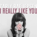 覆盖色的美 - I really like you (remix)