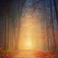 Relaxing Spa Music、Chillout Lounge、White Noise Baby Sleep - Cooling Waters