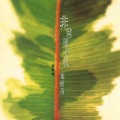 叶树茵 - 月亮永远看不见太阳