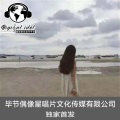白颜 - 经典电嗨
