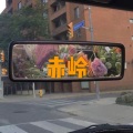 小夕兮、小可 - 头戴凤披纱