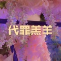 小夕兮、小可 - 没遗憾的夏天
