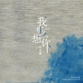 赵佳霖 - 我那么想你
