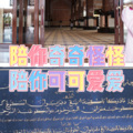 士大 - 自由飞翔 (专辑串烧版)