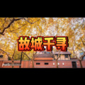 奈尔 - 这扯蛋的人生 (多多版)