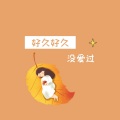 祁小帅 - 寂寞的人别听伤感情歌 (DJ版)