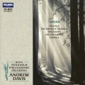 royal stockholm philharmonic orchestra、andrew davis - II. The Swan of Tuonela