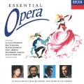 Orchestre Du Theatre National De L'opera-comique - Les Pcheurs de perles: Au fond du temple saint (Act I)