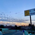 有涵养的王同学 - 他们说今晚的夜色很好