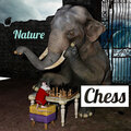 Nature - Chess (Explicit)