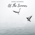 Relax Meditate Sleep、Zen Sounds、Nature Sound Retreat - Bird Ambience