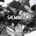 Palm Peach、небо над головой - Salmonella