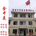 么健 - 金中美
