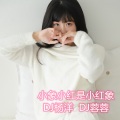 DJ杨洋、DJ蓉蓉 - 浓了回忆淡了关系 (DJ版)