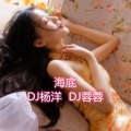 DJ杨洋、DJ蓉蓉 - 最好听的旋律 (DJ版)