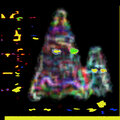 Christmas Chaos Music、Zarqnon the Embarrassed - Waltz of the Venus Fly Traps
