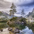 Naturaleza Relajacion、Sonidos de la Naturaleza、Sonido Del Bosque y Naturaleza - Un Amanecer Inocente