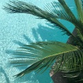 Musica Relajante、SPA、Deep Sleep - Calm Fields