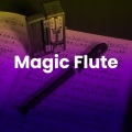 Zbot - Magic Flute