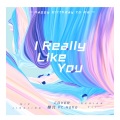 糙北 - I Really Like You