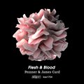 Pezzner、james curd - Flesh & Blood