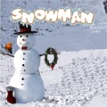 Stephen C、Venus XTC - Snowman