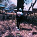 TZY - Rearview (Explicit)