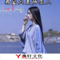 許宣 - 再见只是陌生人 (加快DJ版)