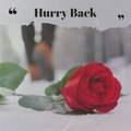 The Jive Five、The Nutmegs - Hurry Back