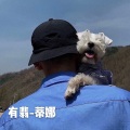 蒂娜 - 社会硬曲 (DJ版)