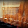 Scenery - Tiny concert