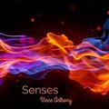 Vince Anthony - Senses