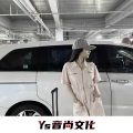 王梦露 - 爱情飞不到天堂 (DJ版)