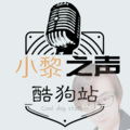 孙黎 - 我还是很喜欢你