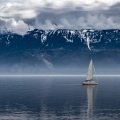 小奶瓶、虞姬、苏可可 - 你知不知道什么是当当当