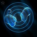Black Lotus (GER) - Superconductor