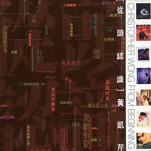 黄凯芹 - 堕入爱河
