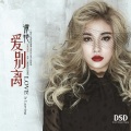 谭艳 - 关不上的窗