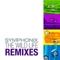 Symphonix - The Good Old Times