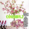 MC小东苏 - 人格分裂