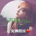 苏瞳 - 摇摆与激情7 (Remix)