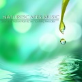 Naturescapes for Mindfulness Meditation - Song of Storms
