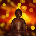 Mindfullness Meditation World、Nature Sounds、Musica Para Estudiar Academy - Rainforest Hums