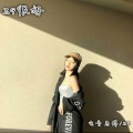电音老傅、逐鹿 - Z9很好 (DJ版)
