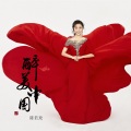 陈若玫 - 醉美中国